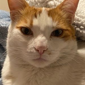 Meet your Posher, Sally